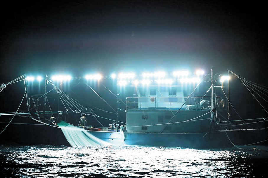 LED Fishing Lure Lights